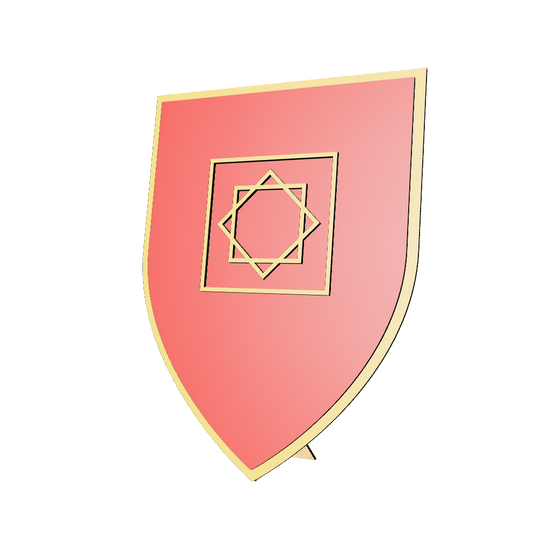 3D model of the Marinid Shield.